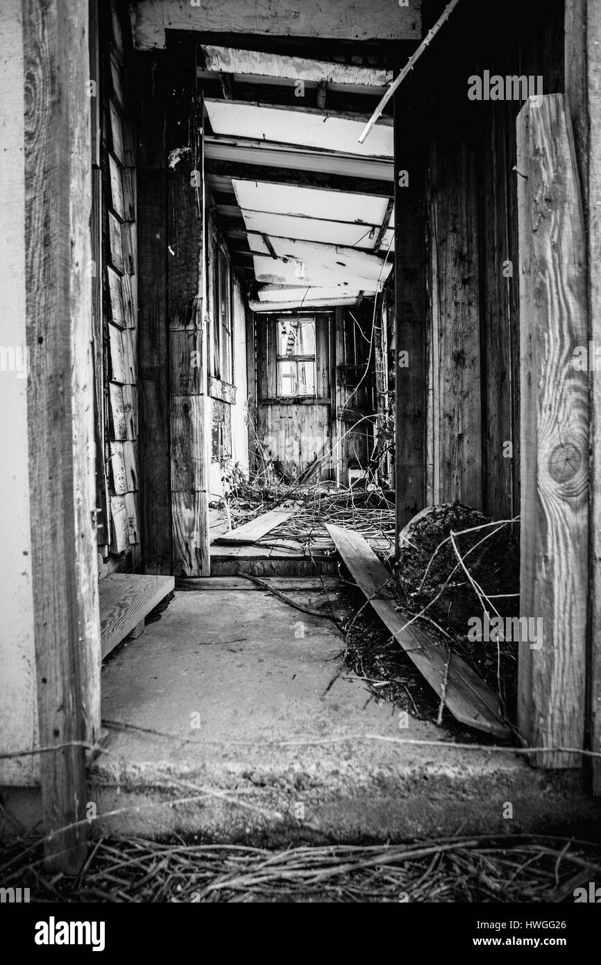 Maison abandonnée Banque D'Images