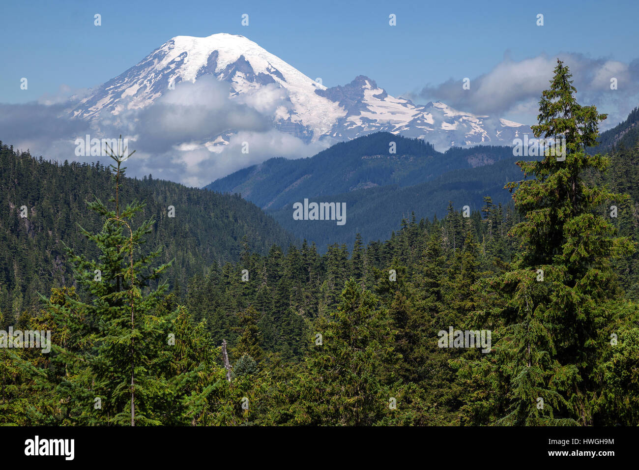 Vue sur les sommets enneigés du cône volcanique du Mont Rainier, Washington, USA Banque D'Images