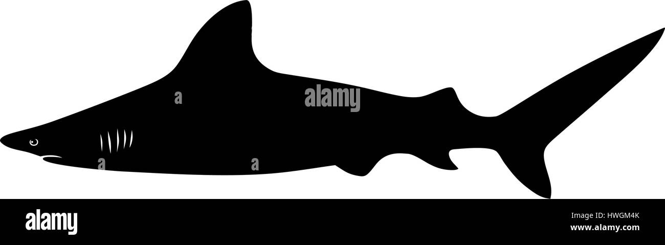 Abstract vector illustration de shark Illustration de Vecteur
