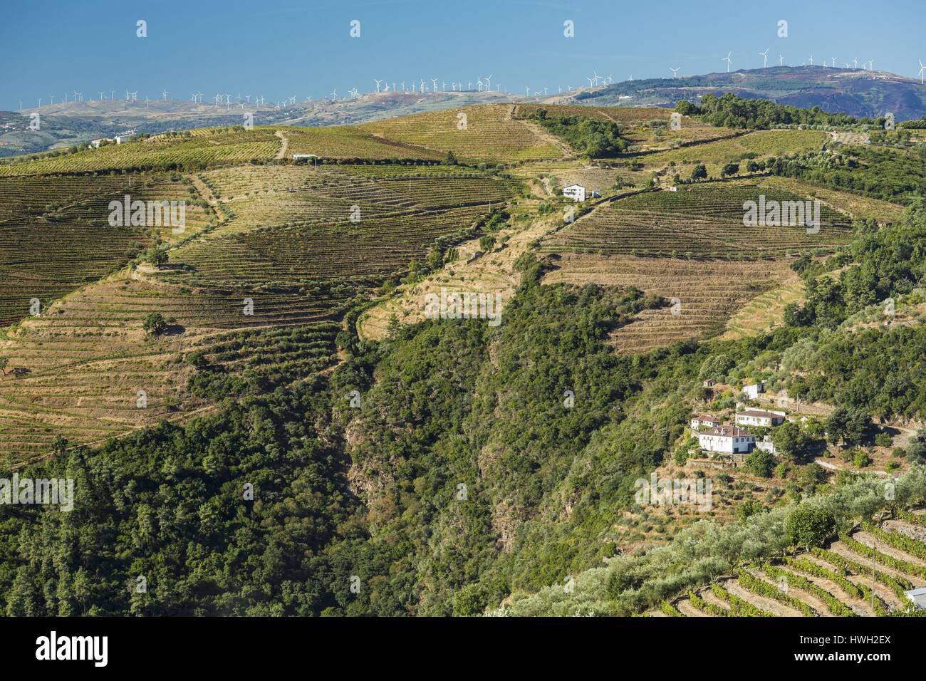 Le Portugal, la Vallée du Douro et son vignoble classé Patrimoine Mondial de l'UNESCO, Galafura, vue d'un parc éolien Banque D'Images