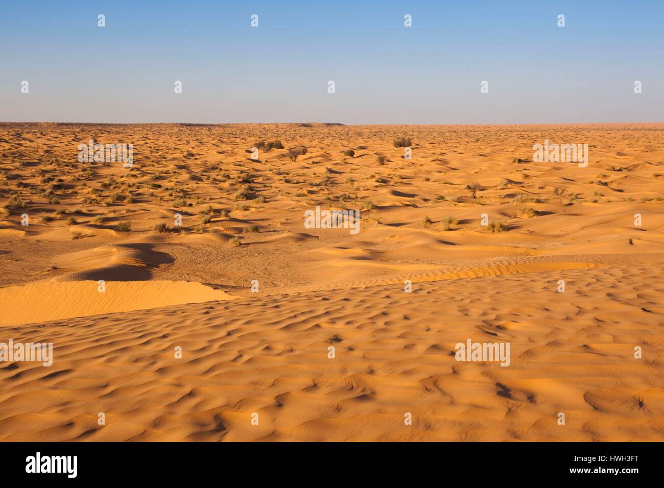 La Tunisie, Ksour, Ksar Ghilane, Grand Erg Oriental Désert, paysage Banque D'Images