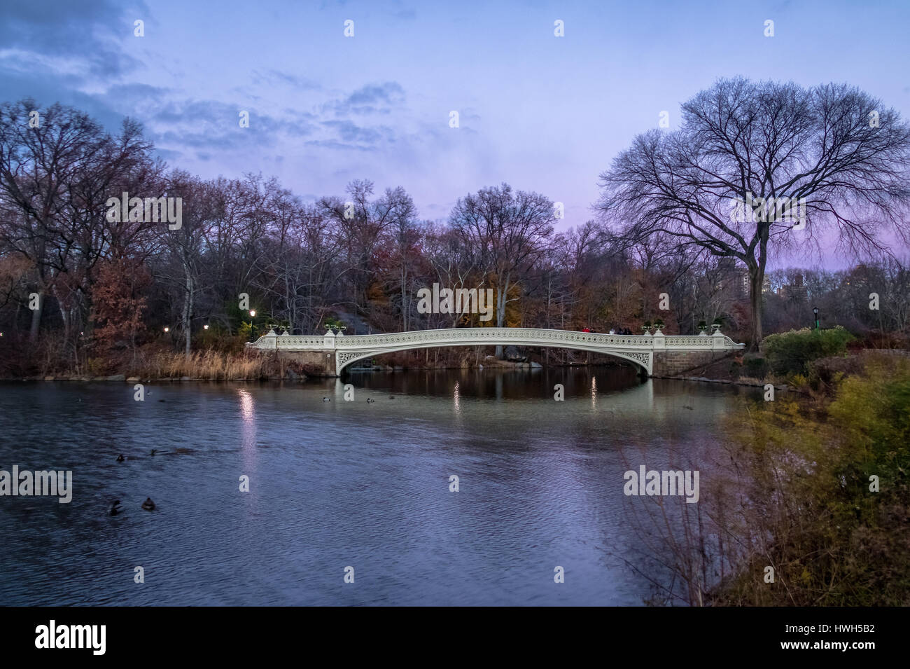 Le Bow Bridge dans Central Park - New York, USA Banque D'Images