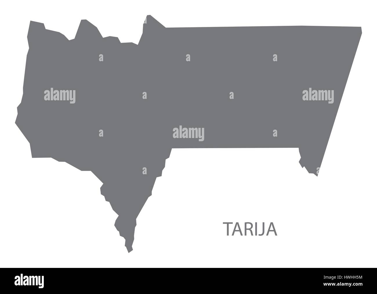 Tarija Bolivie département plan gris illustration silhouette Illustration de Vecteur