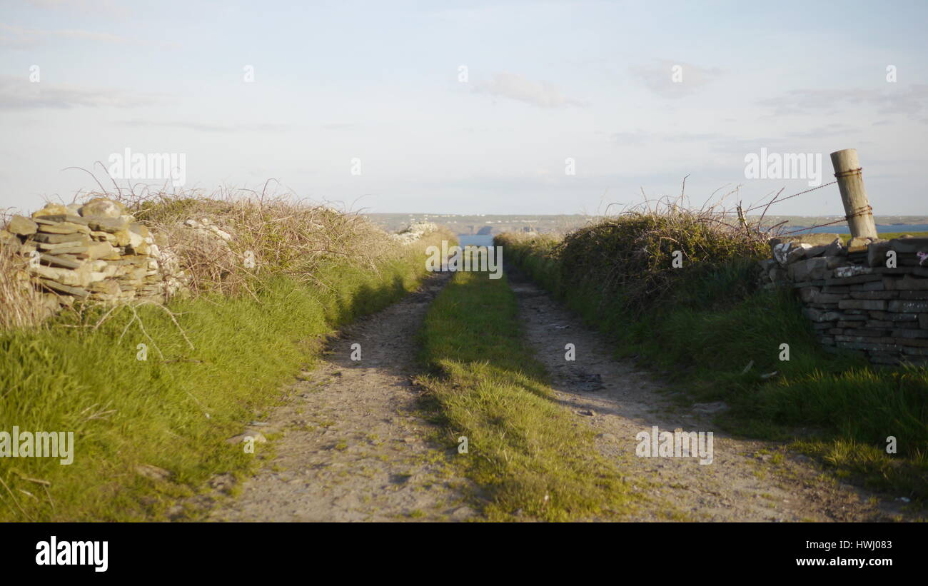 Paysage irlandais.Des images de la campagne irlandaise.Voir la texture, la couleur et la robustesse de la campagne irlandaise. Banque D'Images