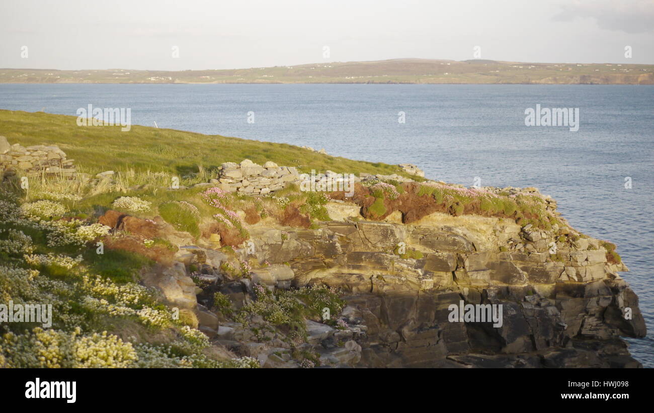 Paysage irlandais.Des images de la campagne irlandaise.Voir la texture, la couleur et la robustesse de la campagne irlandaise. Banque D'Images
