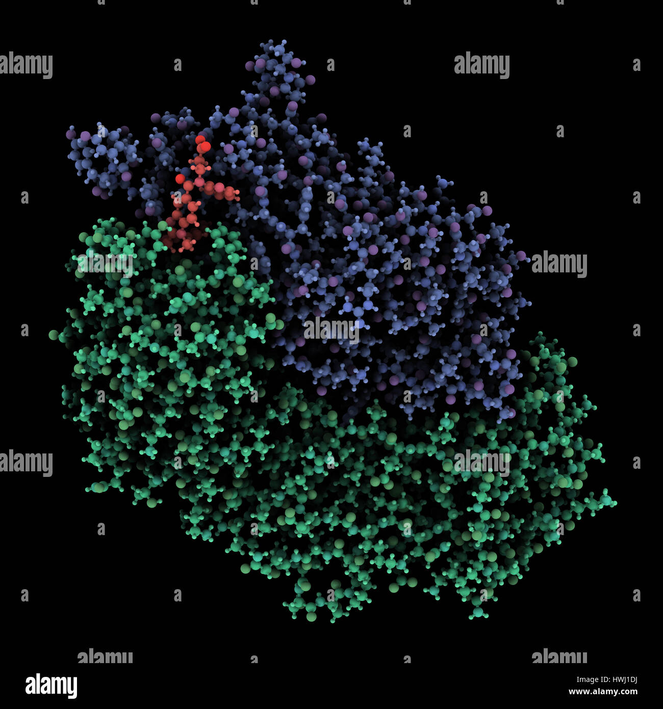 Le dabigatran antidote lié aux protéines pour le dabigatran. Structure d'un fragment d'anticorps (Fab) qui lie l'anticoagulant dabigatran, neutraliser son eff Banque D'Images