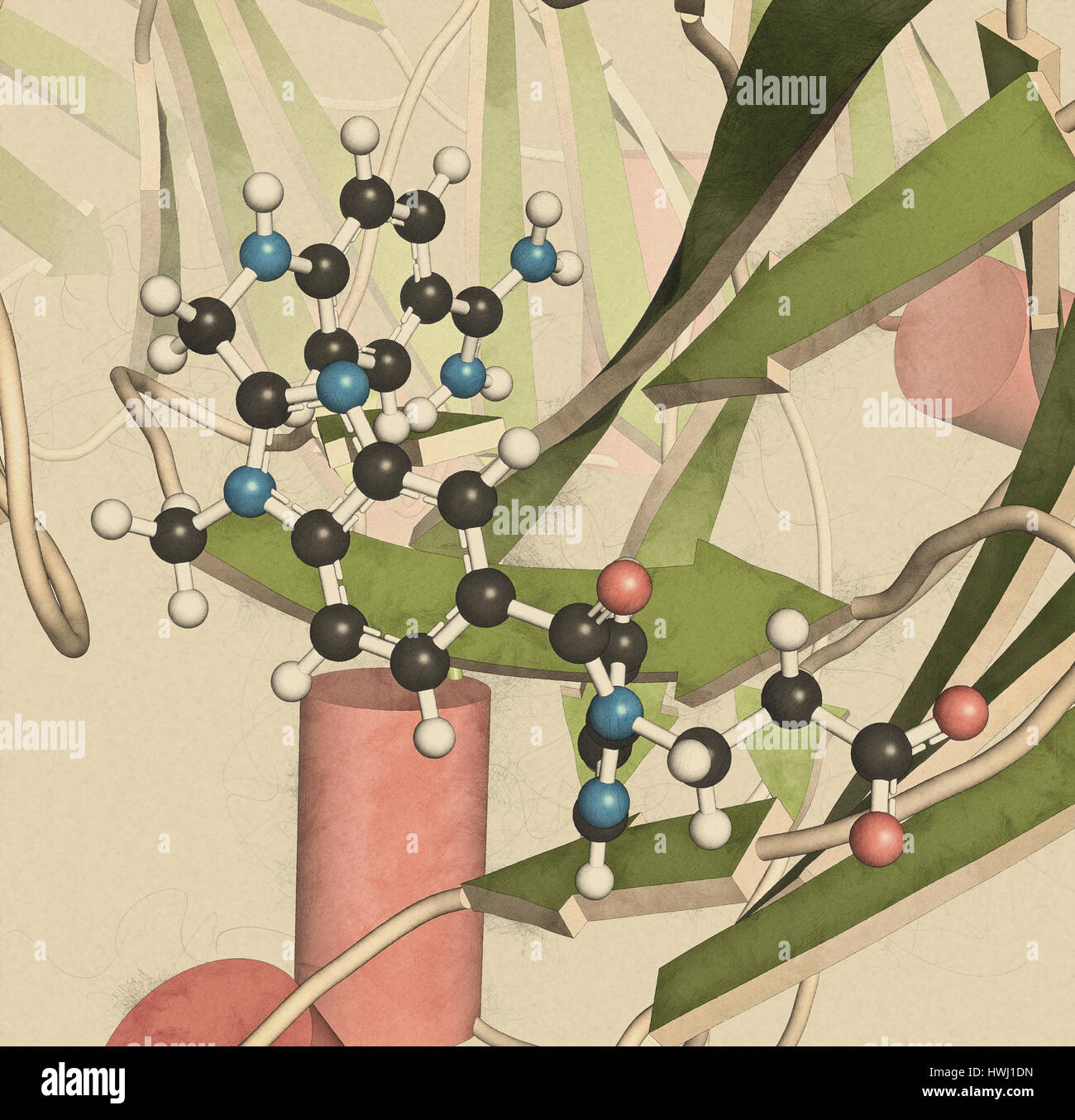 Le dabigatran antidote lié aux protéines pour le dabigatran. Structure d'un fragment d'anticorps (Fab) qui lie l'anticoagulant dabigatran, neutraliser son eff Banque D'Images