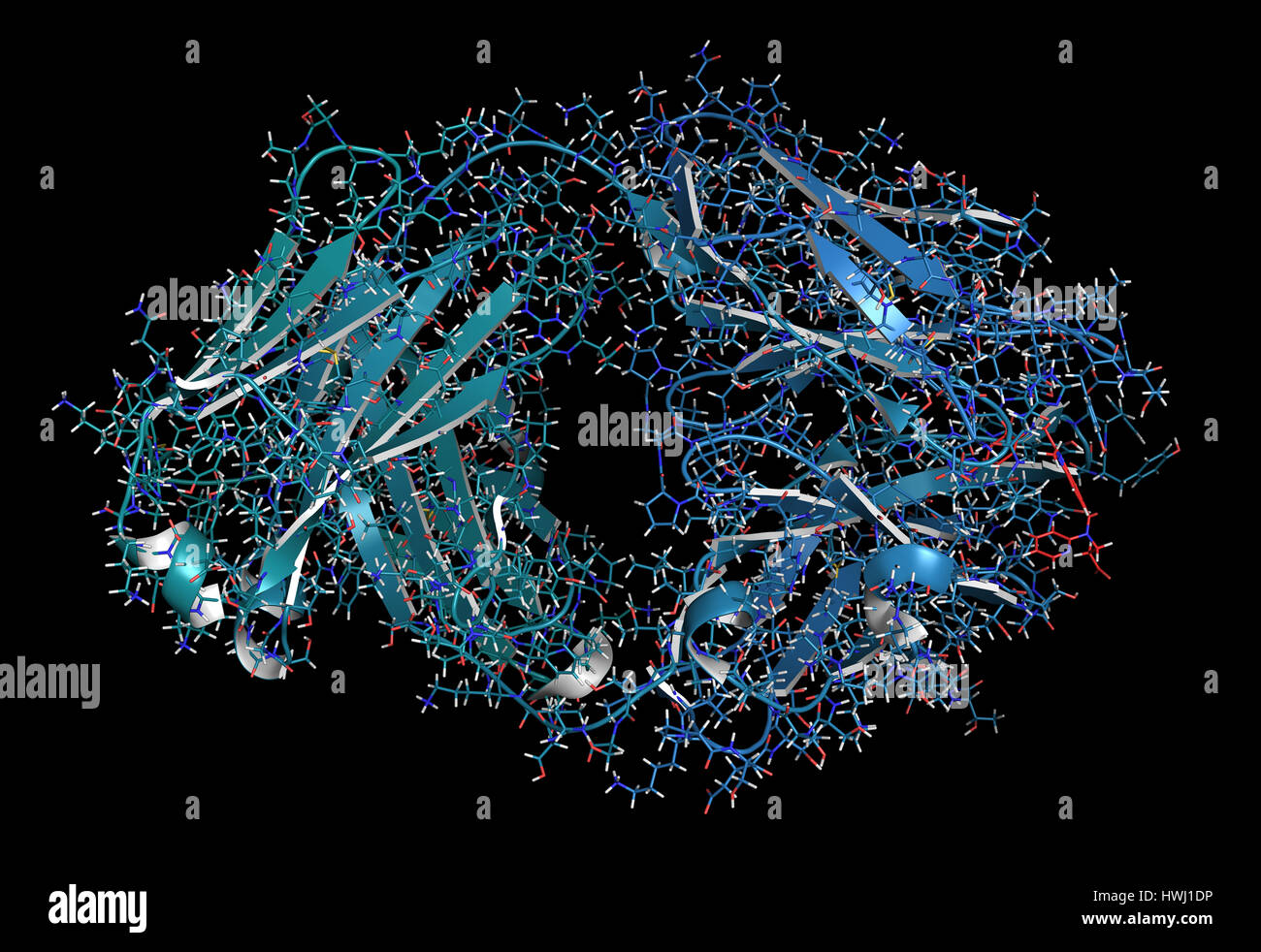 Le dabigatran antidote lié aux protéines pour le dabigatran. Structure d'un fragment d'anticorps (Fab) qui lie l'anticoagulant dabigatran, neutraliser son eff Banque D'Images