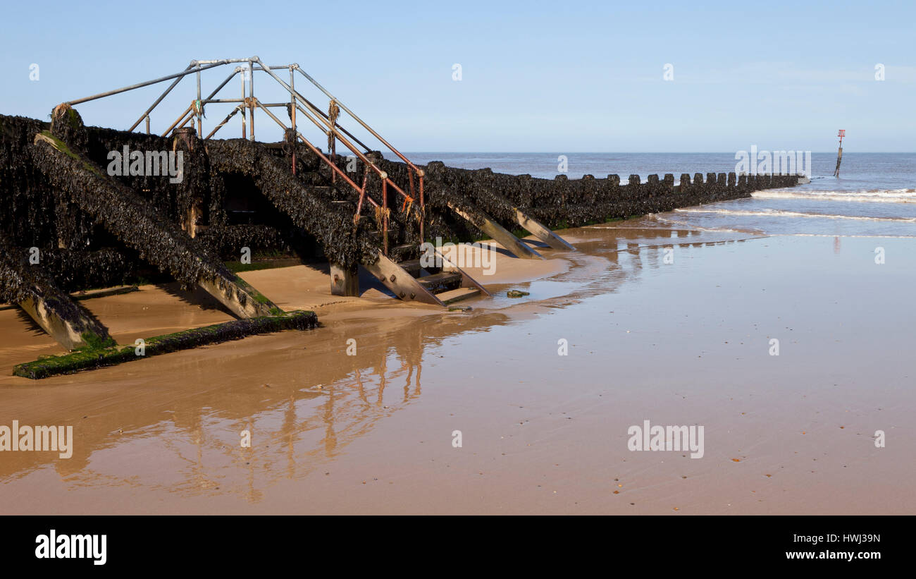 Épis sur plage de Cromer Norfolk en Angleterre Banque D'Images