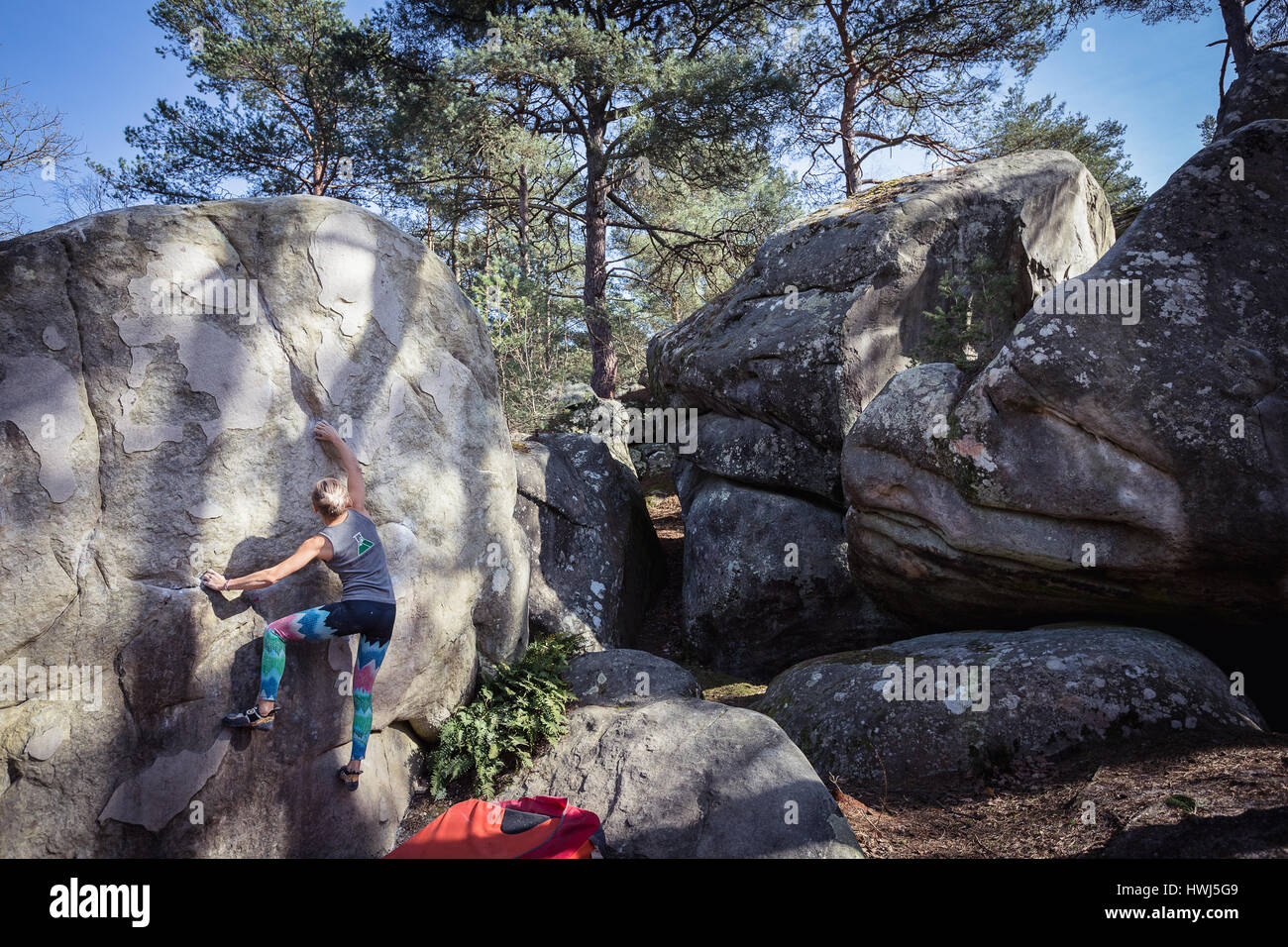 Le grimpeur professionnel Zofia Reych bouldering dans la forêt de Fontainebleau, en France, l'un des plus populaires destinations d'escalade au monde. Banque D'Images