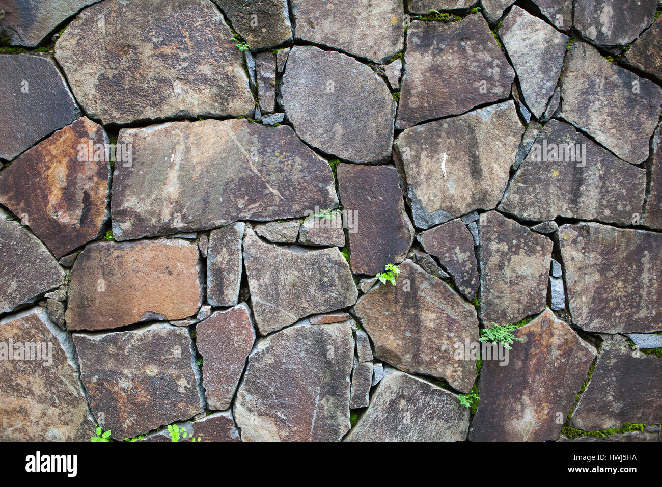 Vieux Mur de pierre avec des feuilles et de la mousse. Et la texture d'arrière-plan Banque D'Images