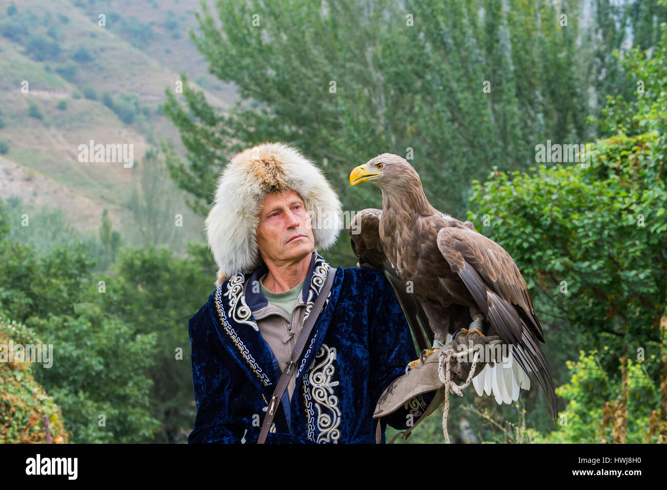 Pavel Pfander, Golden Eagle Aquila chrysaetos , Formateur, Sunkar raptor falcon sanctuaire, Almaty, Kazakhstan, en Asie centrale, l'usage éditorial Banque D'Images