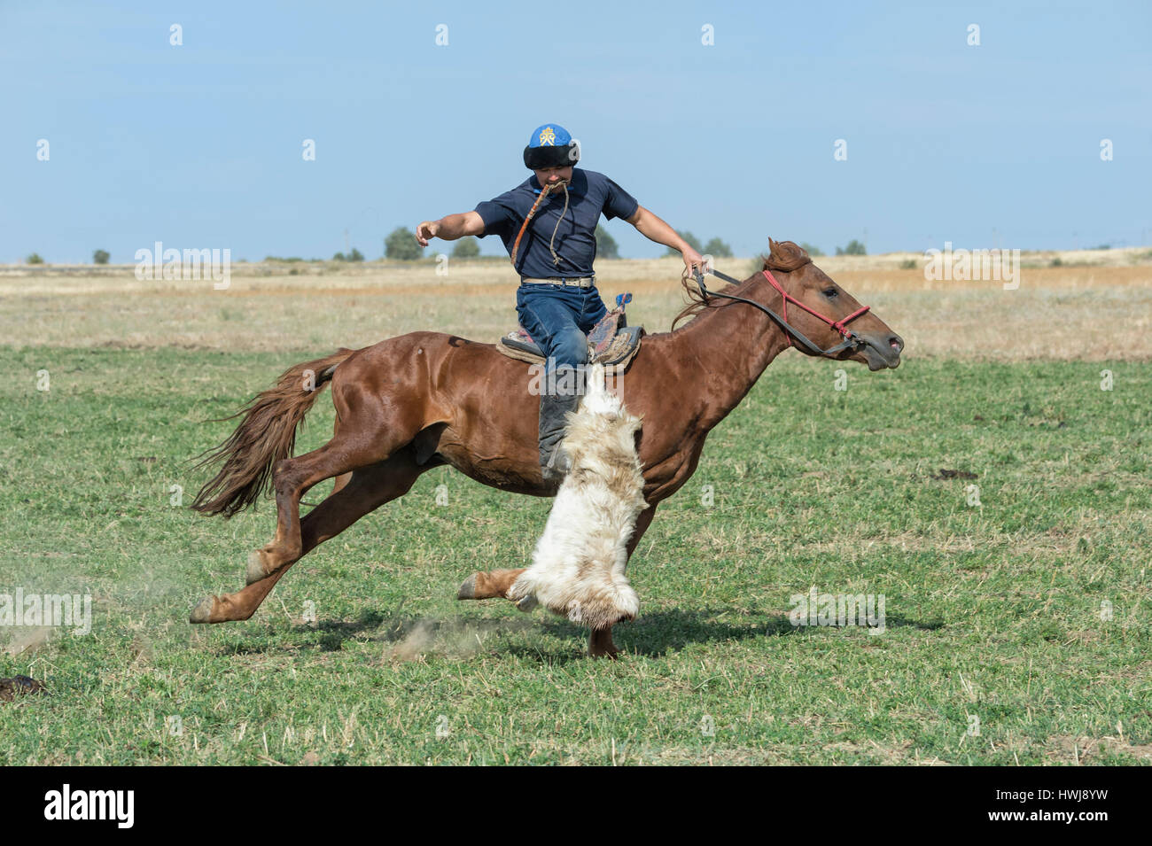 Kokpar traditionnels ou buzkashi dans la périphérie de Gabagly parc national, Shymkent, Kazakhstan, Région du Sud, l'Asie centrale, pour un usage éditorial uniquement Banque D'Images