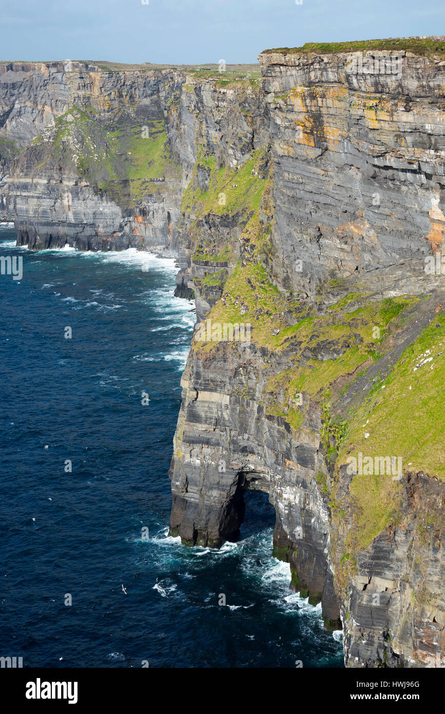 Les falaises de Moher, comté de Clare, Irlande Banque D'Images