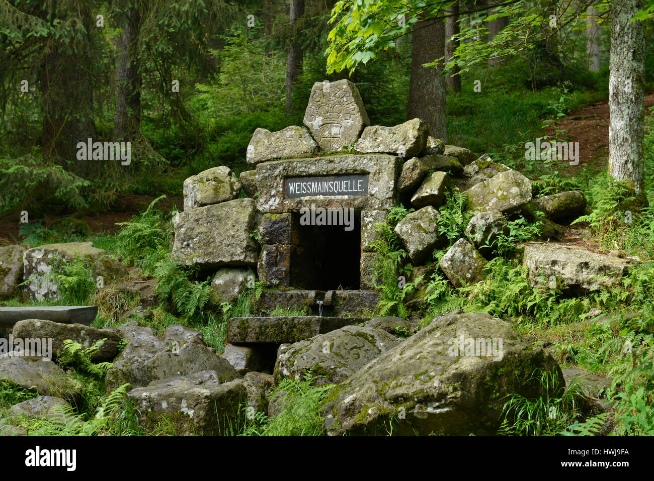 Weissmainquelle, Ochsenkopf, Fichtelgebirge, Oberfranken, Bayern, Deutschland Banque D'Images