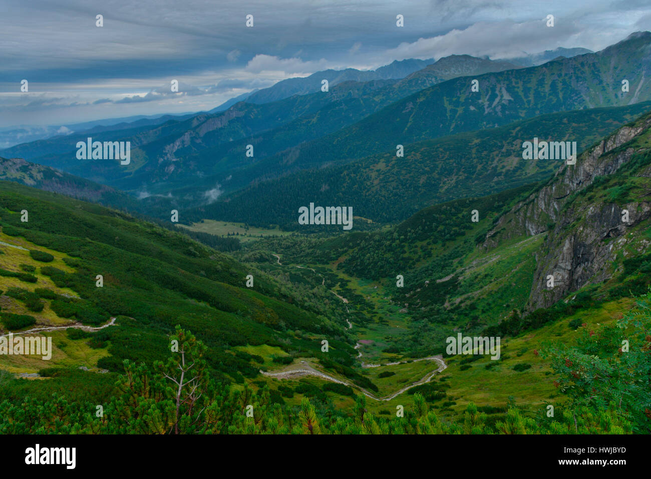 Bergtal Polana Kondratowa, Hohe Tatra, Polen Banque D'Images