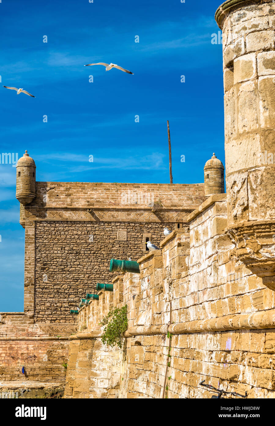 Sqala du port, une tour défensive à Essaouira, Maroc Banque D'Images