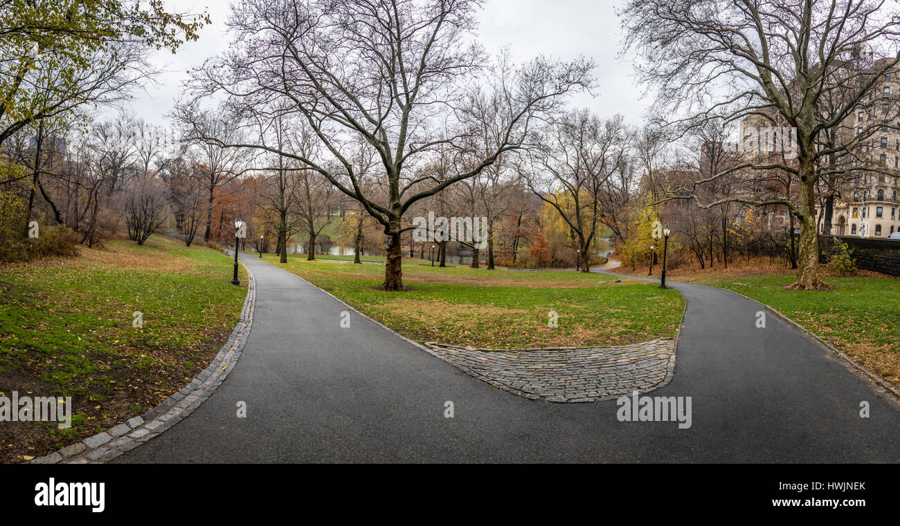 Allée du parc central à la fin de l'automne - New York, USA Banque D'Images