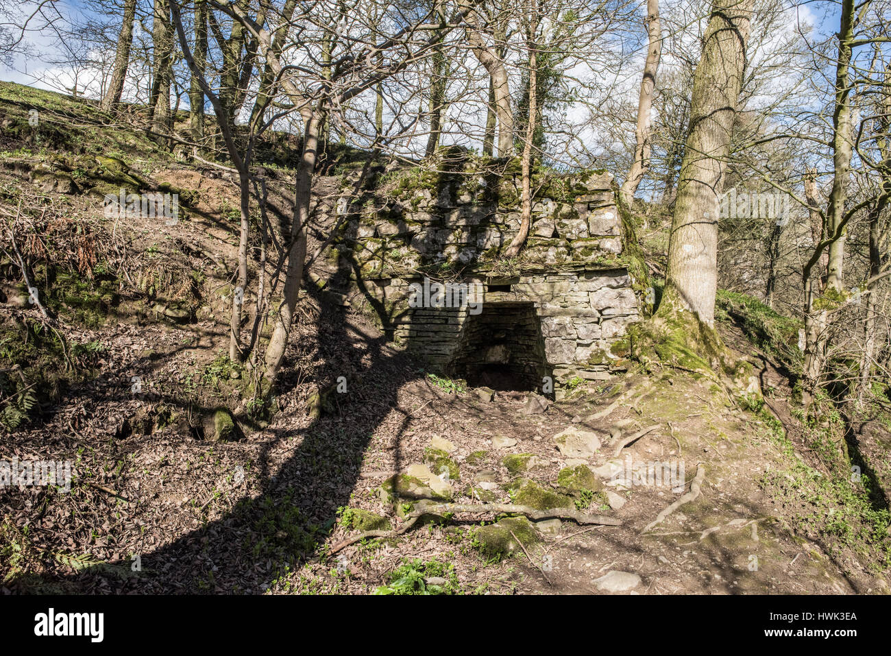 Limekiln champ près de Mill Gill, Force Askrigg, Wensleydale, Yorkshire Dales. Aujourd'hui entouré de forêts. Banque D'Images