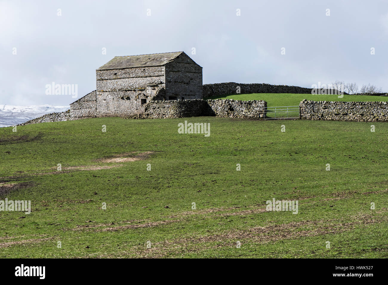 19e siècle ou sur le terrain grange à foin près de Askrigg, Wensleydale, Yorkshire Dales National Park. Période de l'enceinte typique grange à foin et de murs de pierres sèches Banque D'Images
