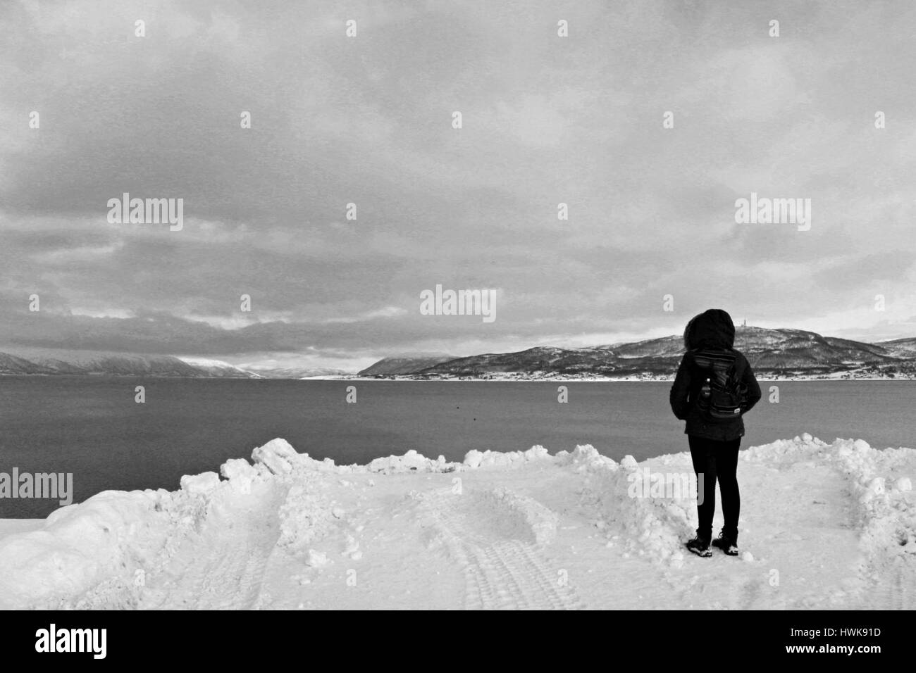 La vue sur les fjords de fille Banque D'Images