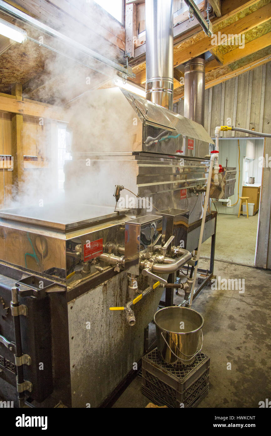 Chelsea, Michigan - Une chaudière à bois se concentre la sève d'érable pour produire le sirop d'érable à H&H Subarbush. La plupart de l'eau est enlevée par osmosi Banque D'Images