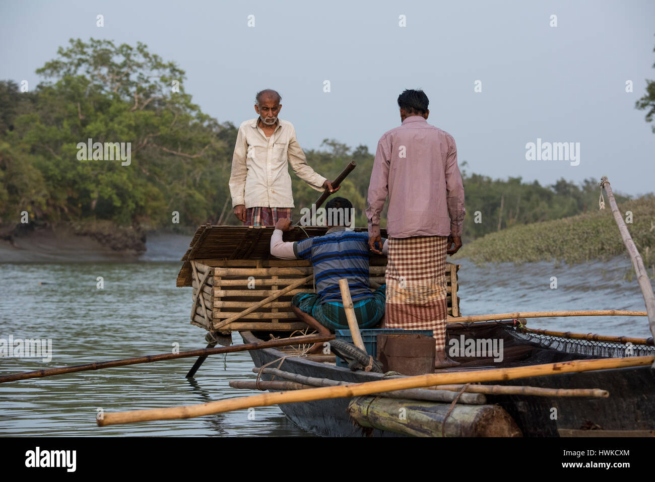 Parc national des Sundarbans, Bangladesh. La pêche traditionnelle à l'aide de la loutre loutre formés. Cette méthode remonte au 6ème siècle AD. Cage sur l'arrière du Banque D'Images