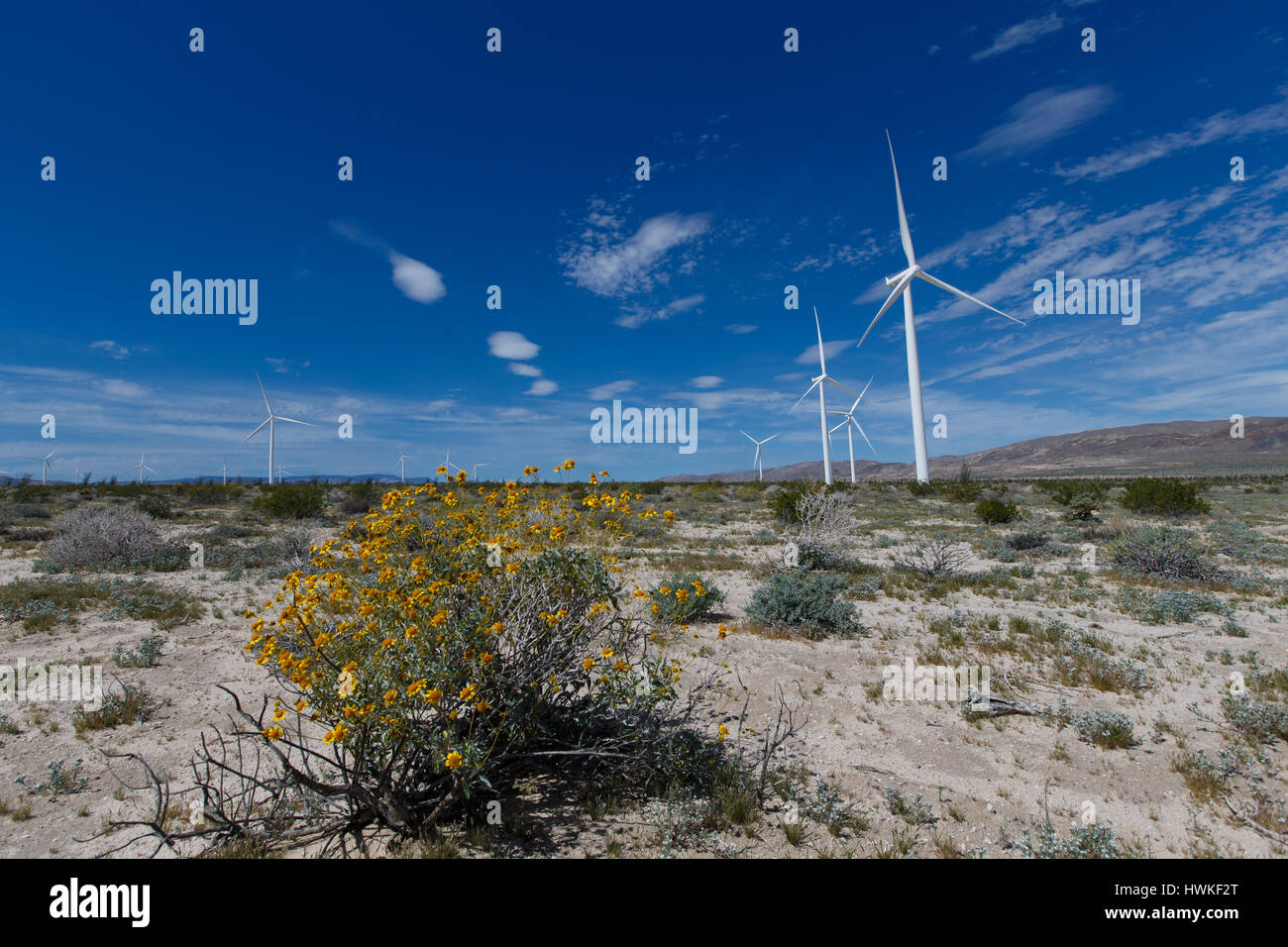 Les moulins à vent dans le parc éolien à Ocotillo Anza-Borrego Desert State Park. Les éoliennes produisent de l'énergie qui est envoyé à San Diego via l'Sunrise Powerlink. Banque D'Images
