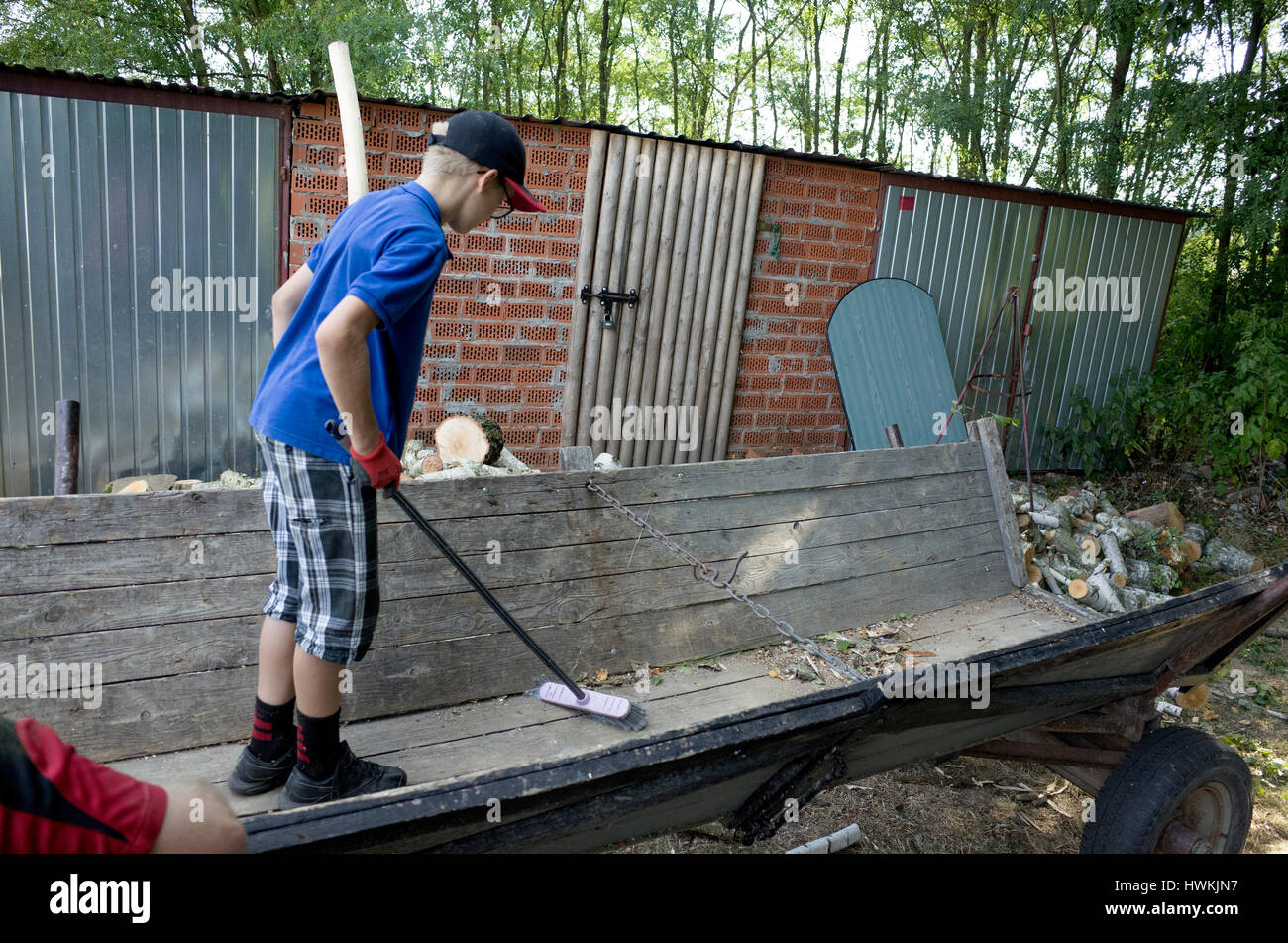 Garçon balai dans wagon qui était rempli de bois comme une corvée ou un travail de la famille l'âge de 12 ans. Zawady Europe centrale Pologne Banque D'Images