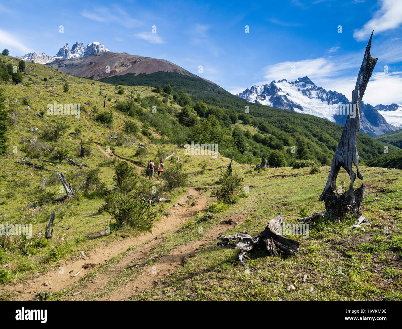 Randonneur sur sentier pour lagoon ci-dessous Cerro Castillo mountain, les montagnes de la réserve naturelle de Cerro Castillo, Reserva Nacional Cerro Castillo, à l'est du mont Banque D'Images