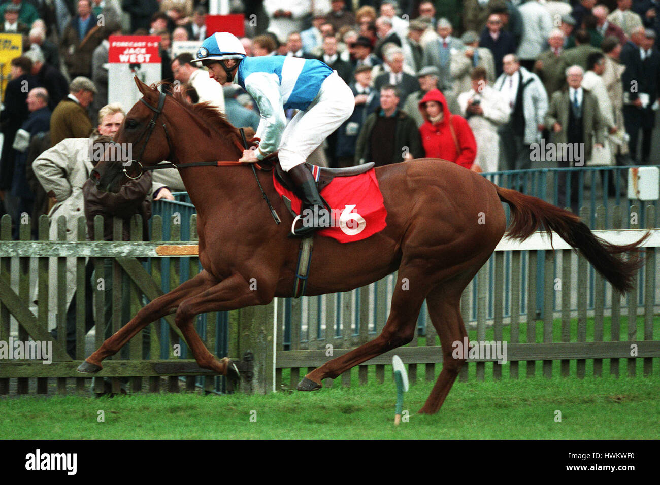 ROHITA (MONTÉ T QUINN) cheval 11 Novembre 1993 Banque D'Images