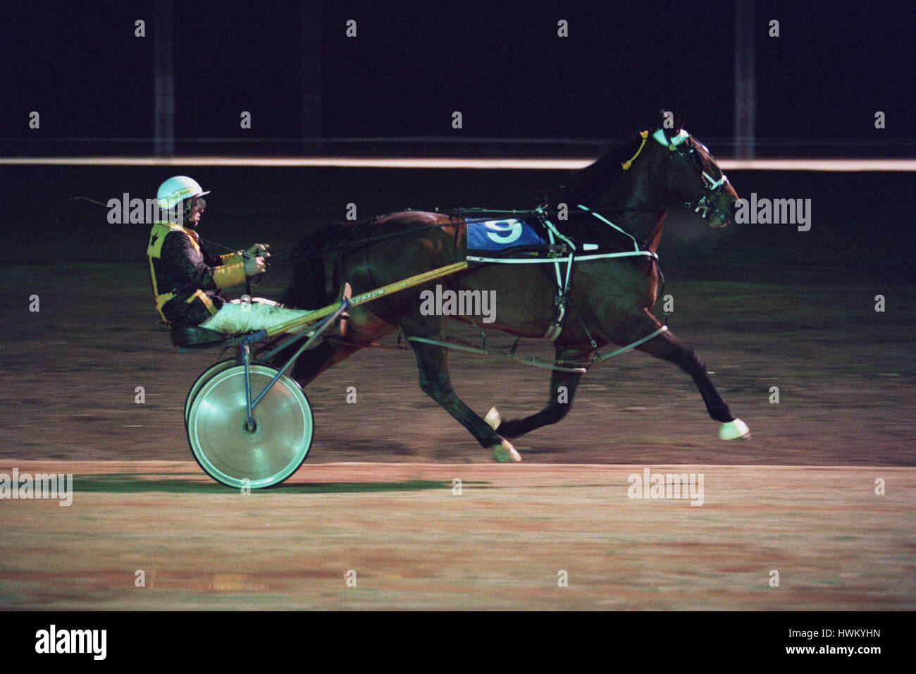 Courts de TROTTING DEMO WOLVERHAMPTON 8.1.94 12 Janvier 1994 Banque D'Images