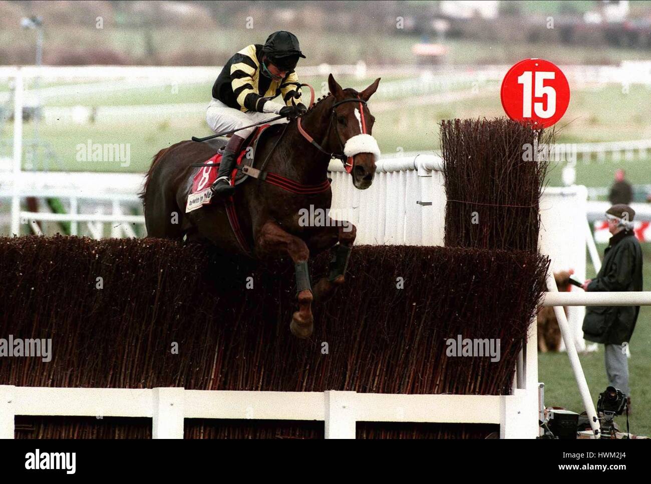 NORMAN WILLIAMSON MASTER COURSES CHELTENHAM AVOINE 16 Mars 1995 Banque D'Images
