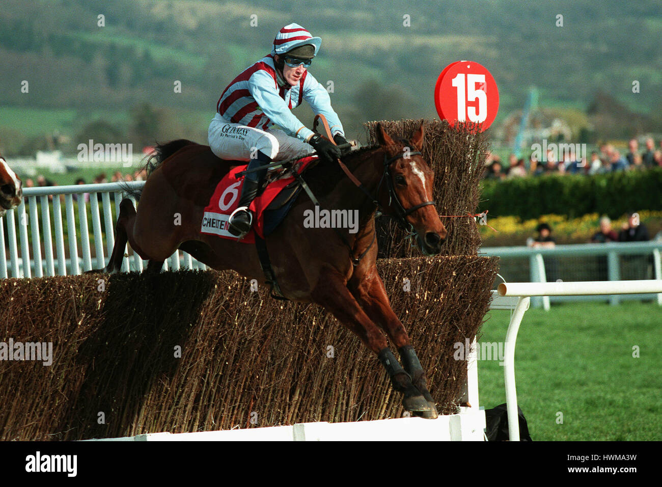 EDREDON BLEU monté par A.P.MCCOY 23 Mars 1999 Banque D'Images