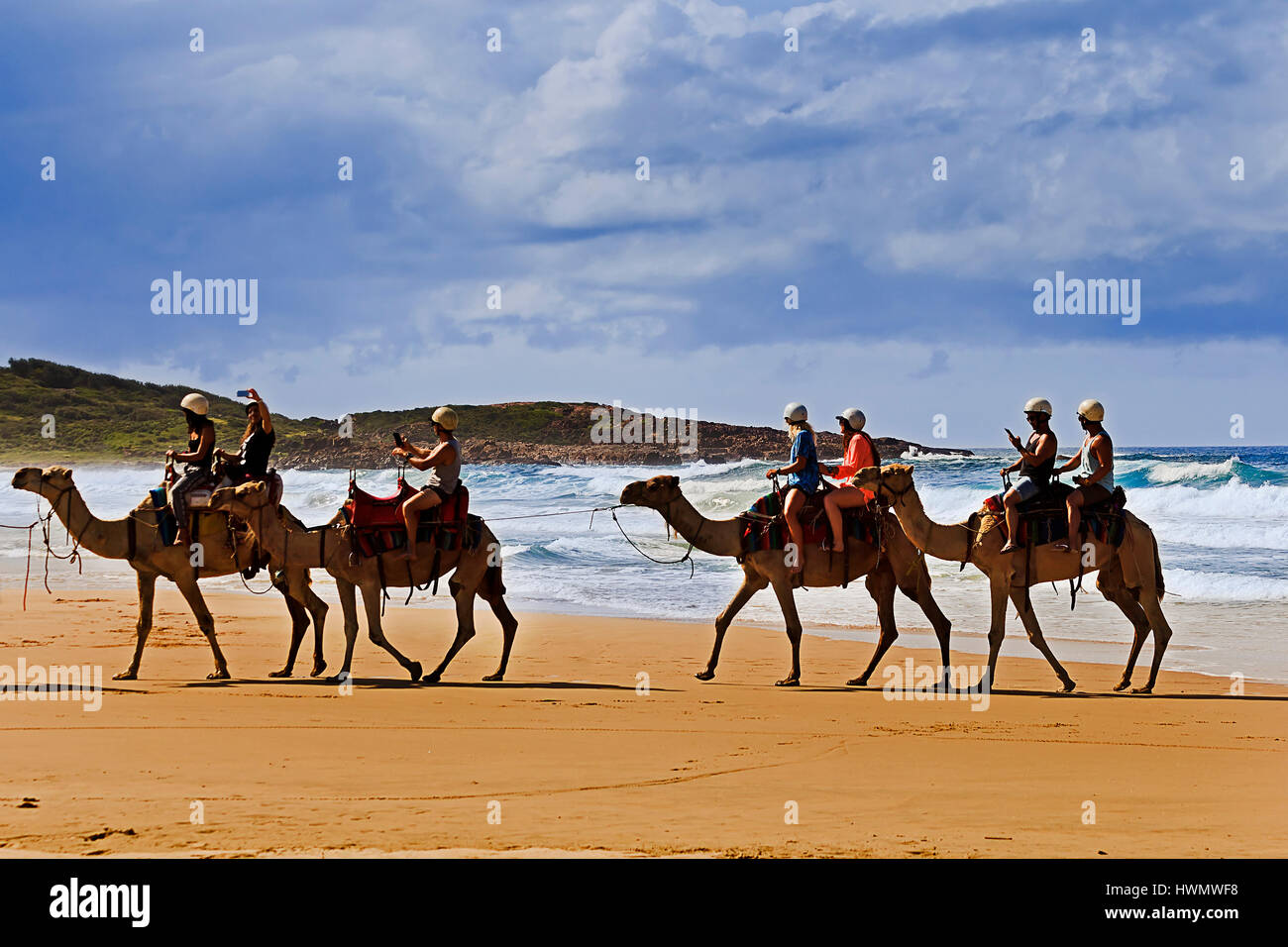 Un groupe de chameaux sous selles randonnée touristique avec des cavaliers dans le cadre d'attraction locale sur Stockton Beach à Port Stephens. La famille et les loisirs temps fu Banque D'Images