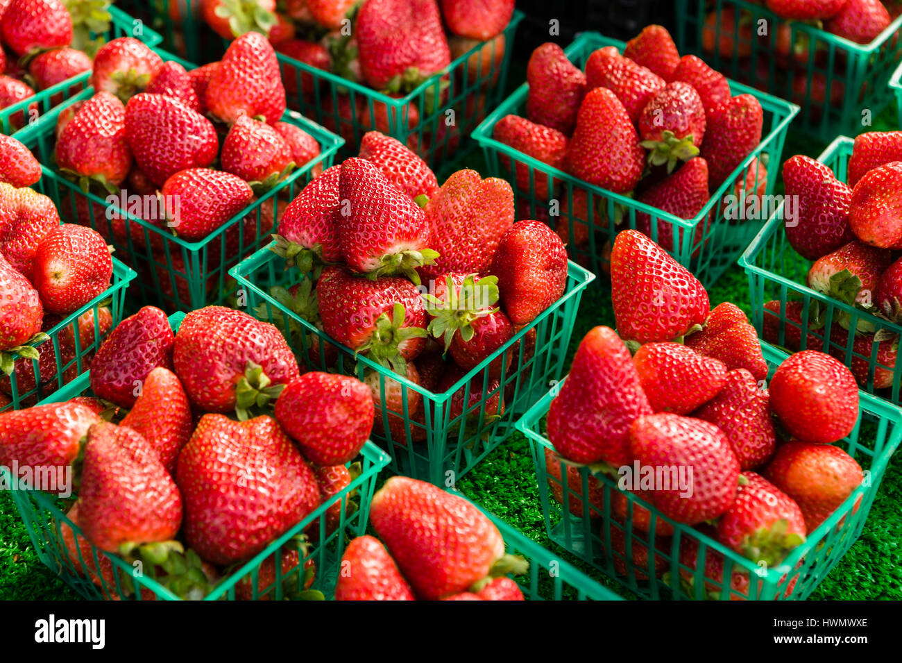 Aliments biologiques frais à un marché de producteurs en plein air. Banque D'Images