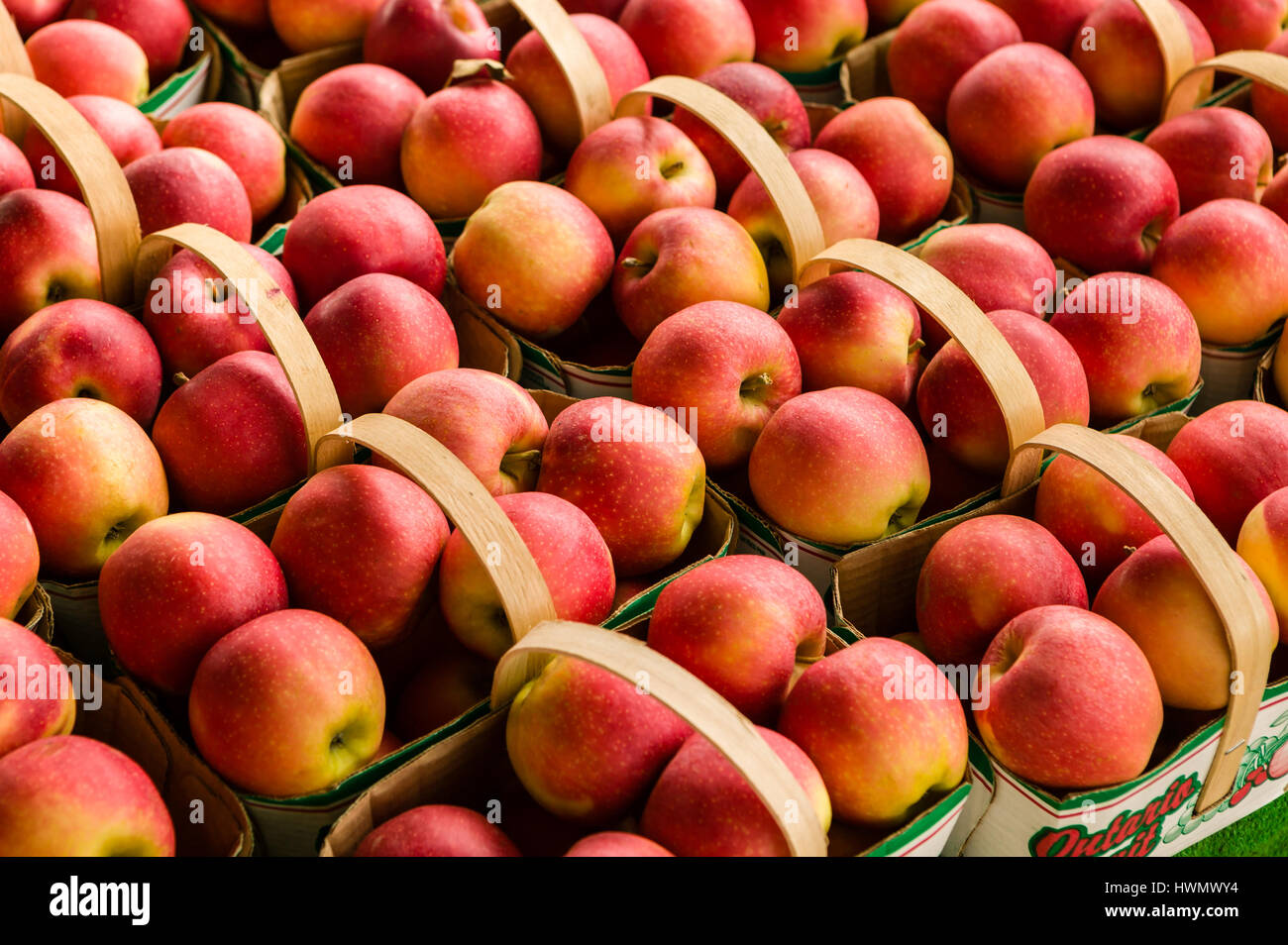 Les pommes biologiques frais à un marché de producteurs en plein air. Banque D'Images