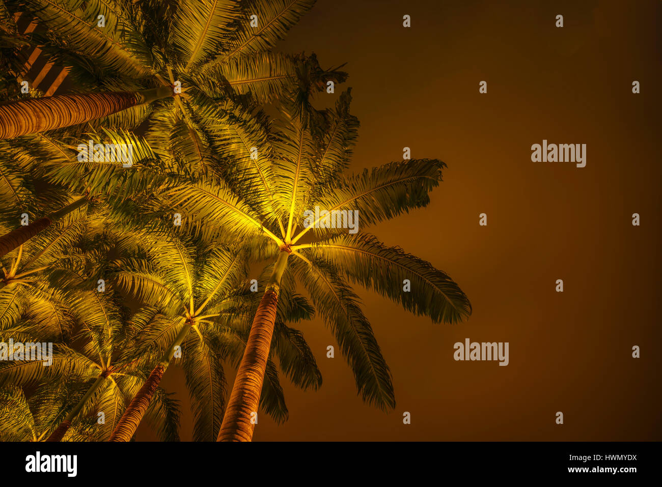 Plage tropicale avec palmiers de noix de coco en Thaïlande au coucher du soleil Banque D'Images