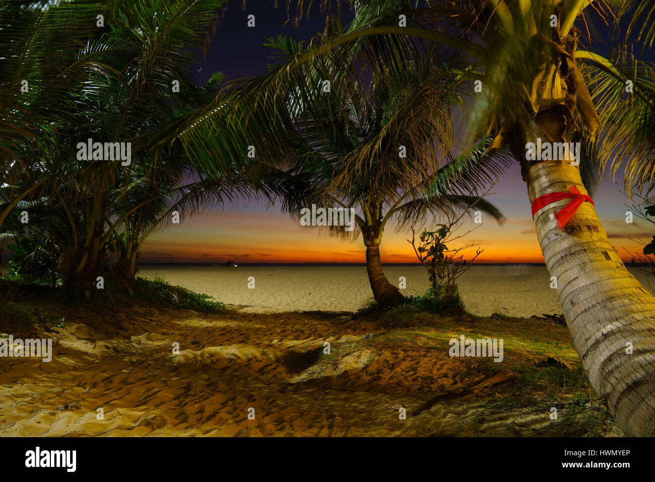 Plage tropicale avec palmiers de noix de coco en Thaïlande au coucher du soleil Banque D'Images