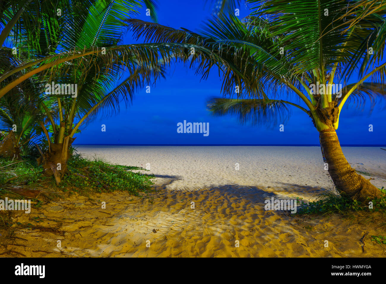 Plage tropicale avec palmiers de noix de coco en Thaïlande au coucher du soleil Banque D'Images