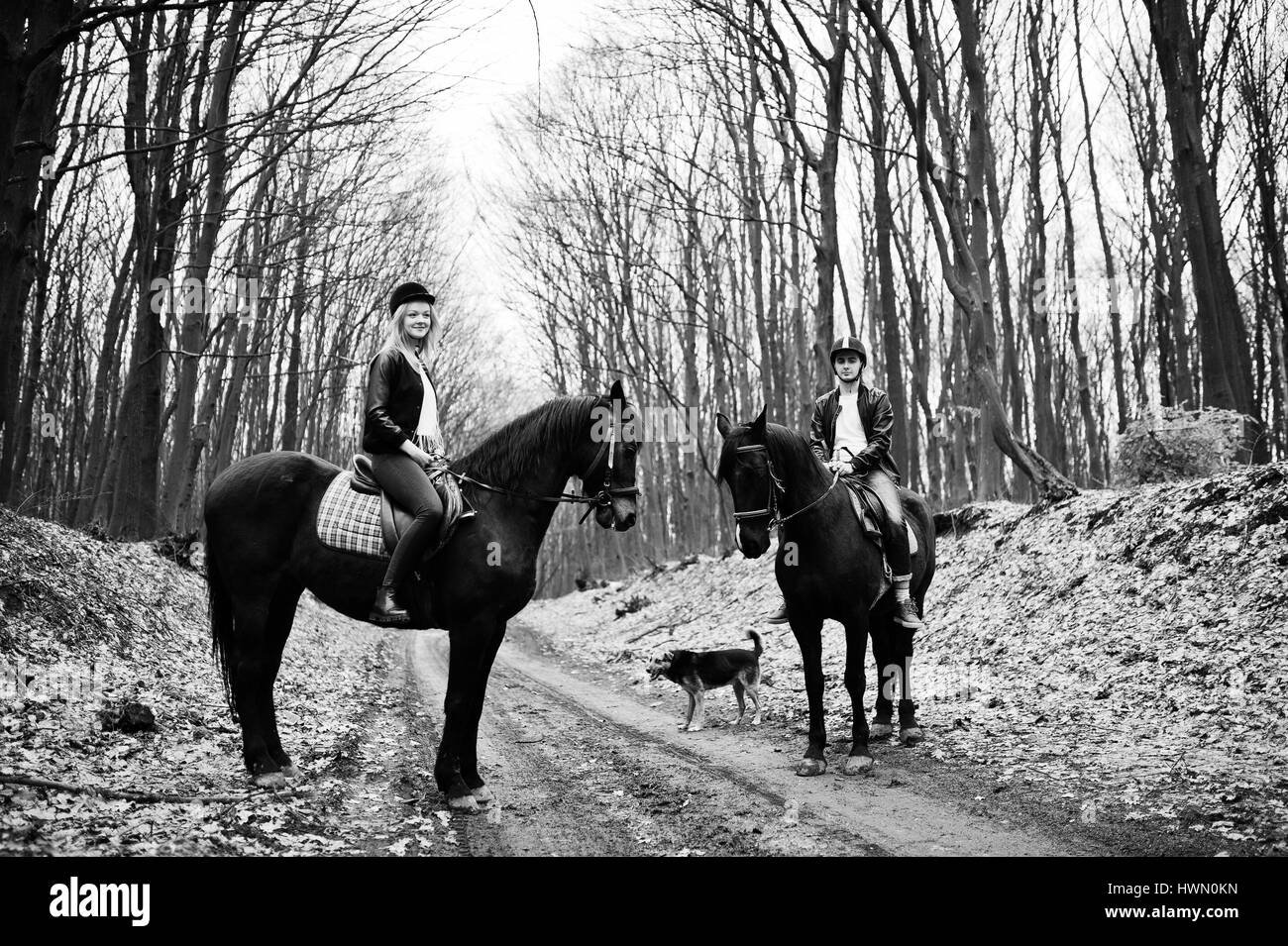 Jeune couple élégant montés sur des chevaux à forêt d'automne. Photo en noir et blanc. Banque D'Images