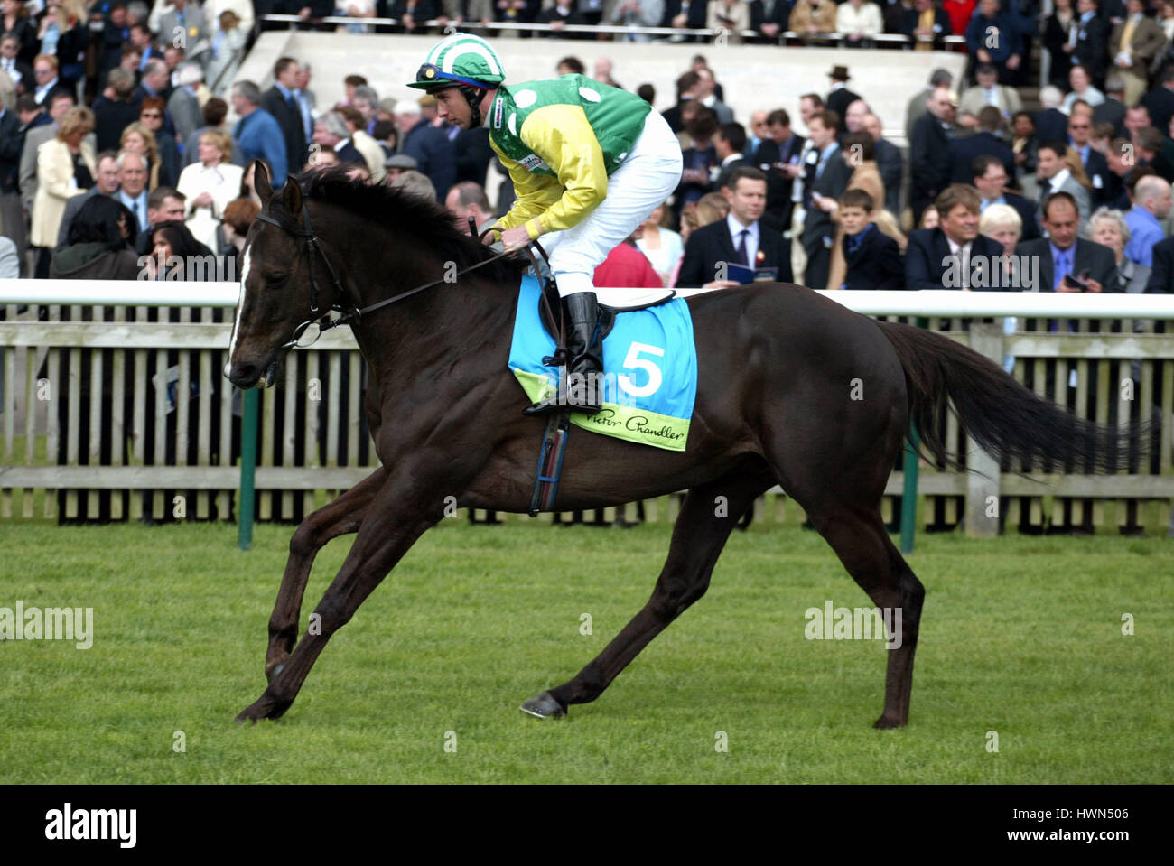 Bougies d'INDIEN MONTÉ PAR A.CULHANE NEWMARKET NEWMARKET RACECOURSE 04 Mai 2002 Banque D'Images