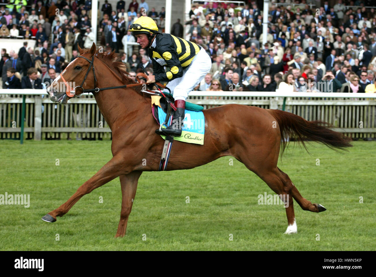 PRINCE INDIEN MONTÉ PAR A.CULHANE NEWMARKET NEWMARKET RACECOURSE 04 Mai 2002 Banque D'Images