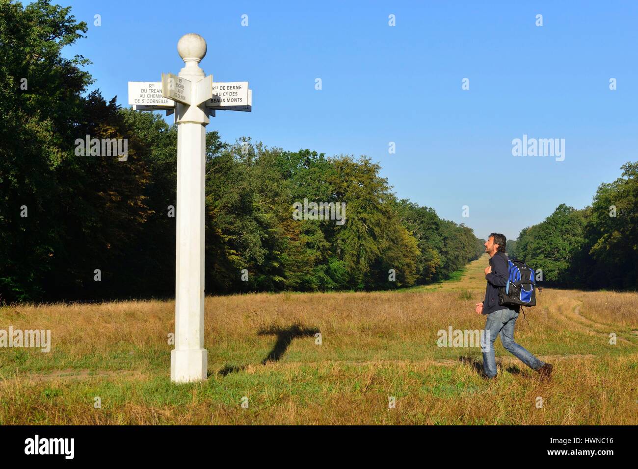 La France, l'Oise, Compiègne, forêt de Compiègne, Beaux Monts, randonneur Banque D'Images