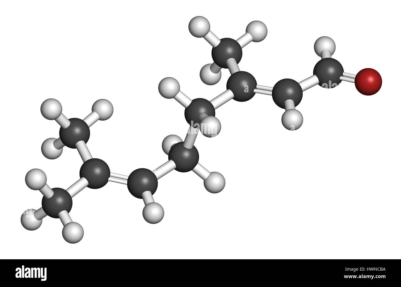 Parfum citron Geranial molécule. Le rendu 3D. Les atomes sont représentés comme des sphères classiques avec codage couleur : blanc (hydrogène), carbone (gris), l'oxy Banque D'Images