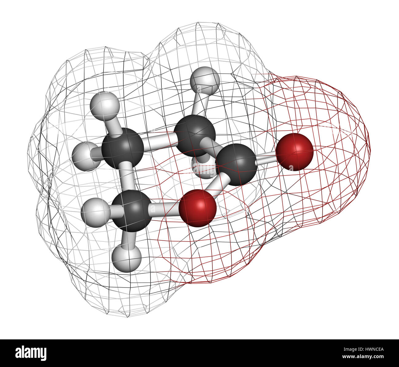 Le gamma-butyrolactone (GBL) molécule de solvant. Utilisé comme forme de prodrogue le GHB (gamma-hydroxy butyrique). Le rendu 3D. Les atomes sont représentés comme des sphères wi Banque D'Images