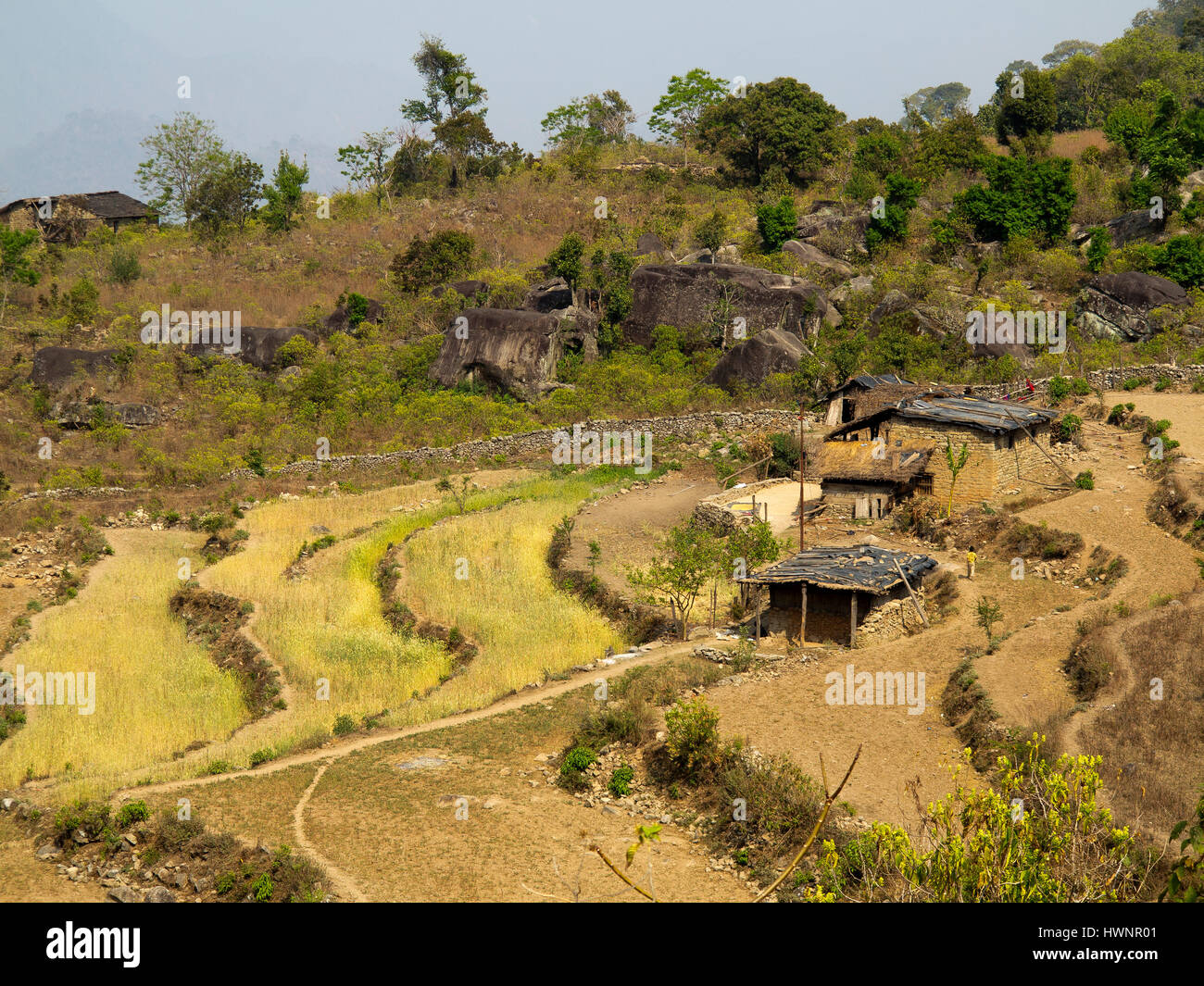Les champs en terrasses sur la télécommande Kot Kendri, village rendu célèbre par l'auteur Jim Corbett dans son livre Maneaters de Kumaon, Uttarakhand, Inde Banque D'Images