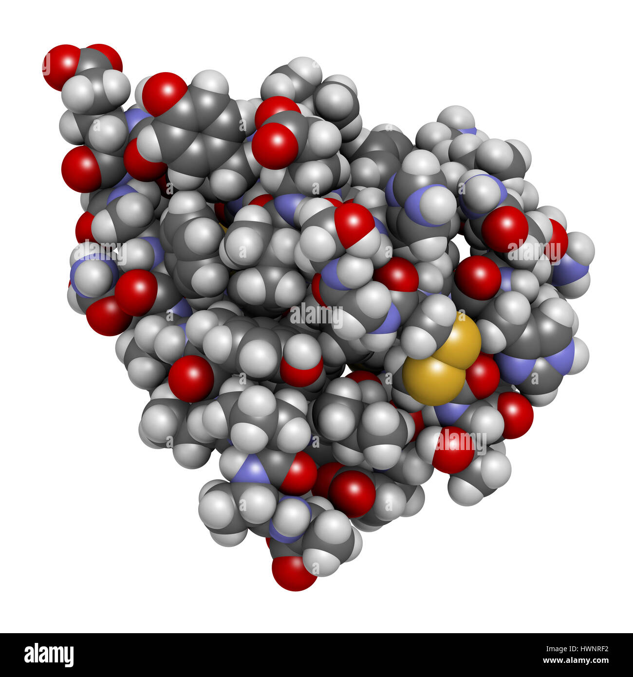 L'insuline hormone peptidique, rendu 3D. Médicament important dans le traitement du diabète. Montré que les atomes avec codage couleur des sphères classiques. Banque D'Images