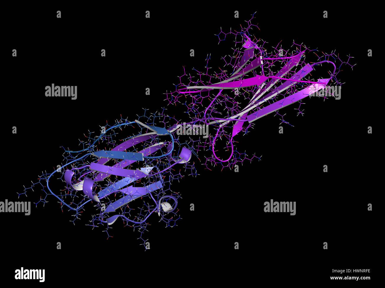 Mort programmée-ligand 1 (PD-L1), rendu 3D. Produit par tumeur afin de supprimer le système immunitaire. Inhibiteurs du PD-L1 et PD-1 une interaction Banque D'Images