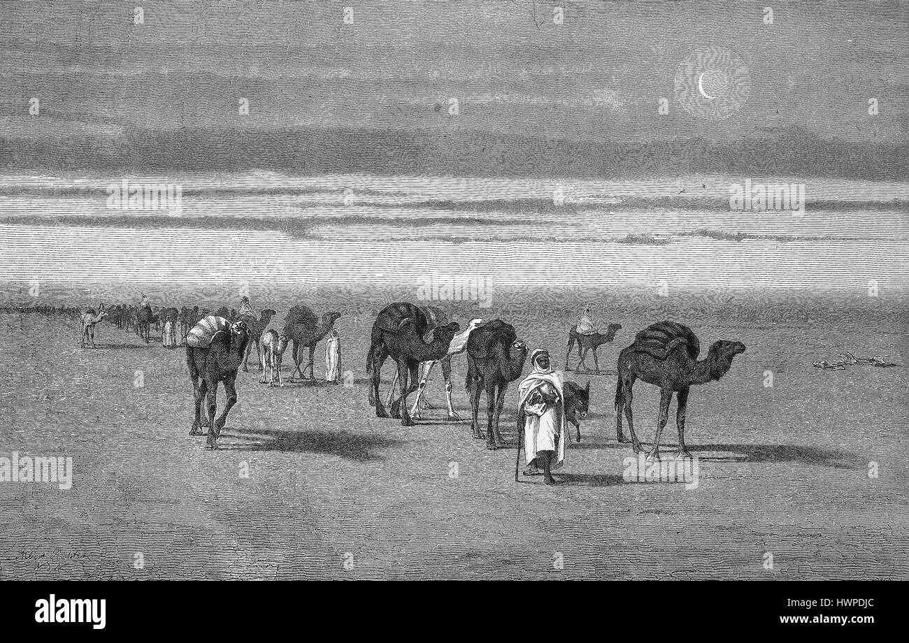 Caravane dans le désert du Sahara, l'Algérie, la reproduction d'une gravure sur bois originale de l'année 1882, l'amélioration numérique Banque D'Images